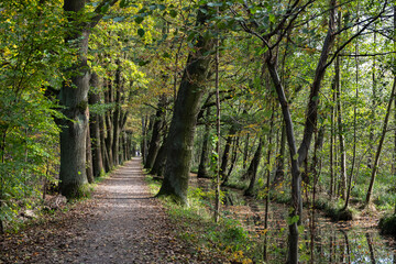 Spreewald, Germany