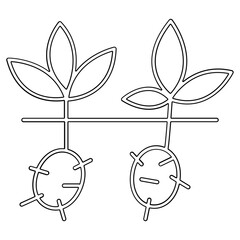 Tuber icon in line style