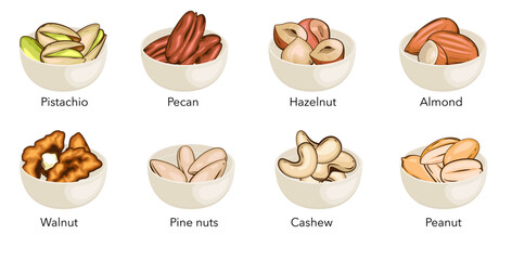 Nuts ni bowls vector illustration. Pistachio, Walnut, Pecan, Pine Nuts, Hazelnit, Almond, Cashew, Peanut isolated on white background. Nuts Cartoon Style. Organic food concept.