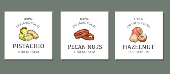 Nuts logo set templates. Pistachio, Pecan nuts,  Hazelnut isolated on white background. Nuts Cartoon Style. Organic food concept.