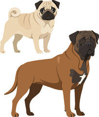 Obraz premium Two playful dogs in a flat design style, showcasing a pug and a bullmastiff in a friendly pose, perfect for vector art