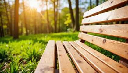 Natural wooden bench in sunny forest, serene outdoor retreat