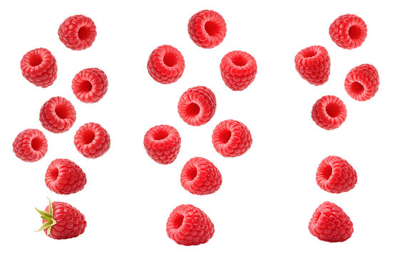 raspberries falling down png. raspberry png. Fresh and plump raspberries falling in a natural pattern PNG. organic and ripe raspberry fruit full of vitamins PNG