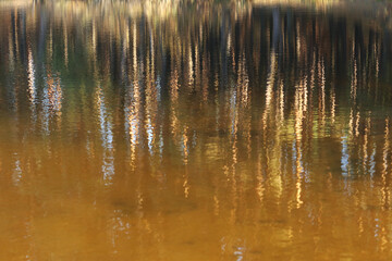 Blurred reflection of a forest in a lake. The natural distortion of trees in water creates a mesmerizing, abstract effect with green and blue tones.