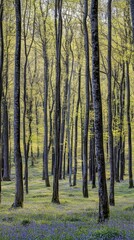 Fototapeta premium A tranquil forest scene with tall trees surrounded by vibrant greenery. Sunlight filters through the leaves, creating a serene atmosphere in nature. Generative AI