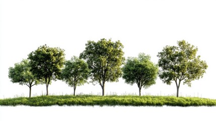 Fototapeta premium Row of Trees on Green Hill Against White Background, Forest, Landscape