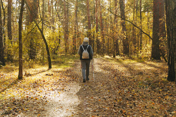 Fototapeta premium Autumn unfolds its vibrant palette, a dedicated individual engages in Nordic walking along a tranquil forest path