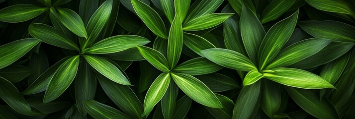 Obraz premium Vibrant green tropical leaves creating natural pattern in panoramic composition, fresh foliage texture background with parallel veins and symmetrical arrangement in dark mood