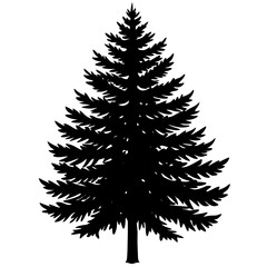 Obraz premium christmas tree isolated on white