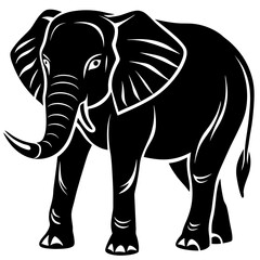 elephant vector illustration isolated on white background