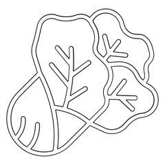 Chinese cabbage icon in line style