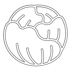 Cabbage icon in line style