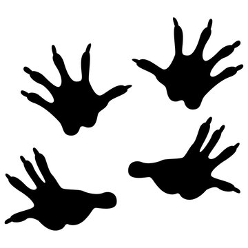 opossum footprint, opossum Animal Footprint Tracks