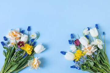 Spring composition on a blue background of flowers of tulips, muscari, daffodils, grouse with a place for text. Happy Mother's Day greeting card, happy Valentine's Day, March 8th, happy birthday