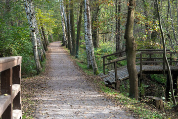 Hiking path in Spreewald, Germany