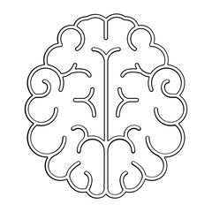 Brain icon in line style