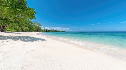 Fototapeta premium Pristine tropical beach under a clear sky