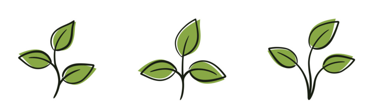 Sprouts with three leave. Spring, planting and nature design elements. Isolated vector illustrations