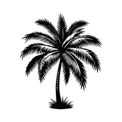 A Palm tree vector silhouette isolated on a white background, Tropical palm tree black clipart. Tropical palm tree
