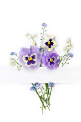 Flowers viola tricolor ( pansy ) and blue wildflowers forget-me-nots and white paper card with...