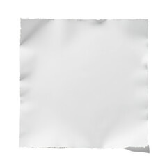 Obraz premium Torn_Paper_Sheet_Blank_White_Background