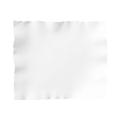 Obraz premium Torn_Paper_Texture_White_Blank_Sheet_Black_Background