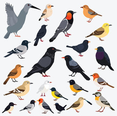 City Birds of Europe: A Trendy Vector Collection