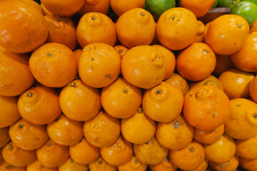 oranges at the market