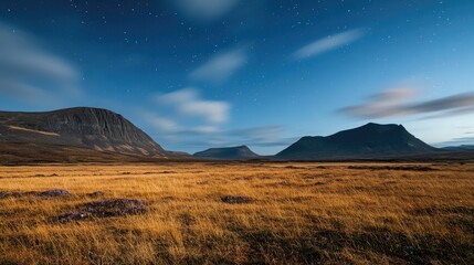 Obraz premium Northern lights dance above Iceland's mountains and colorful flowers, creating a breathtaking display over the natural landscape at night