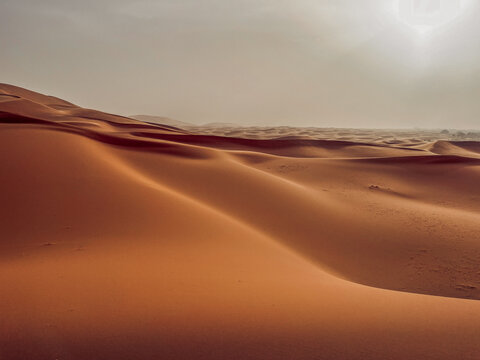 Sandd&uuml;nen in der Sahara