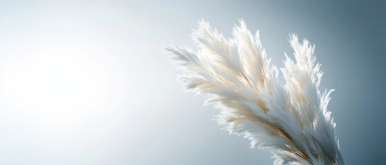 Pampas grass against bright background