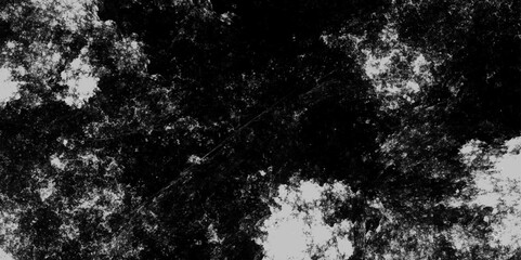 Obraz premium Polished grunge white powder on dark abstract distressed texture background. Monochrome grunge background. Luxury white paper texture with speckled grunge black and white powder color.