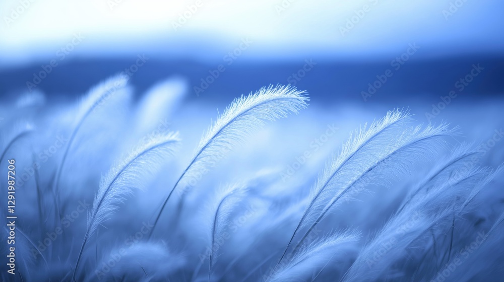 Poster close-up of a field of tall, feathery plants. the plants are arranged in a way that they are swaying