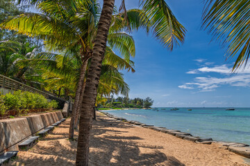 Obraz premium Beachfront bliss: palm trees and turquoise waters. Tropical haven: palm-lined beach with pristine waters and distant boats