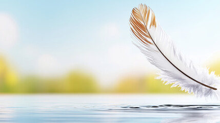 delicate feather floats gracefully on calm water, reflecting tranquility and nature beauty
