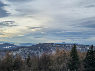 A breathtaking view of snow-capped mountains and lush forests under a cloudy sky, evoking tranquility and awe. Perfect for nature and travel themes.