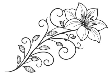 Minimalist Clematis Flower Vector &ndash; Clean and Modern Design