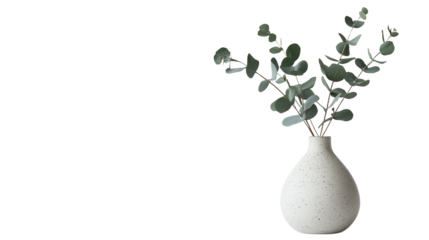 Minimalist ceramic vase with eucalyptus leaves, stylish home decor concept, isolated on a white background 