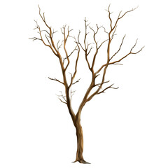 leafless tree with twisted branches isolated png transparent cutout