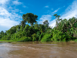 Amazon river landscape with rainforest.
