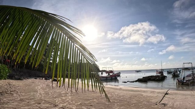 Tropical beach in Akumal Bay in Tulum, Mexico