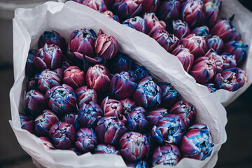 A bouquet of tulips, painted in blue, purple and pink pearlescent colors.