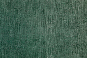 Fototapeta premium green old paper texture with vertical lines