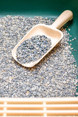 Replacing dry litter in a cat toilet.  litter box care. filler scoop. cat litter scoop. scoop in the cat litter box. Vertical photo