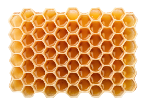 Close-up view of honeycomb structure with hexagonal pattern, vibrant honeycomb texture, Cut Out
