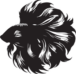 black and white rooster