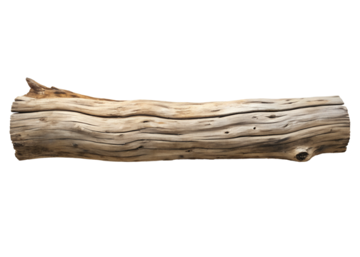 Driftwood log isolated on white, unique driftwood texture on white, Cut Out