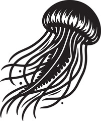vector illustration of a Jellyfish