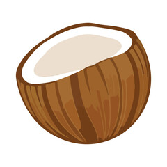 vector illustration of a coconut