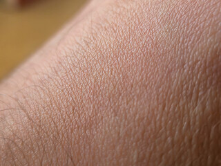 Close-up of human skin texture showing fine hair and details. Soft and natural light enhances the skin's appearance.